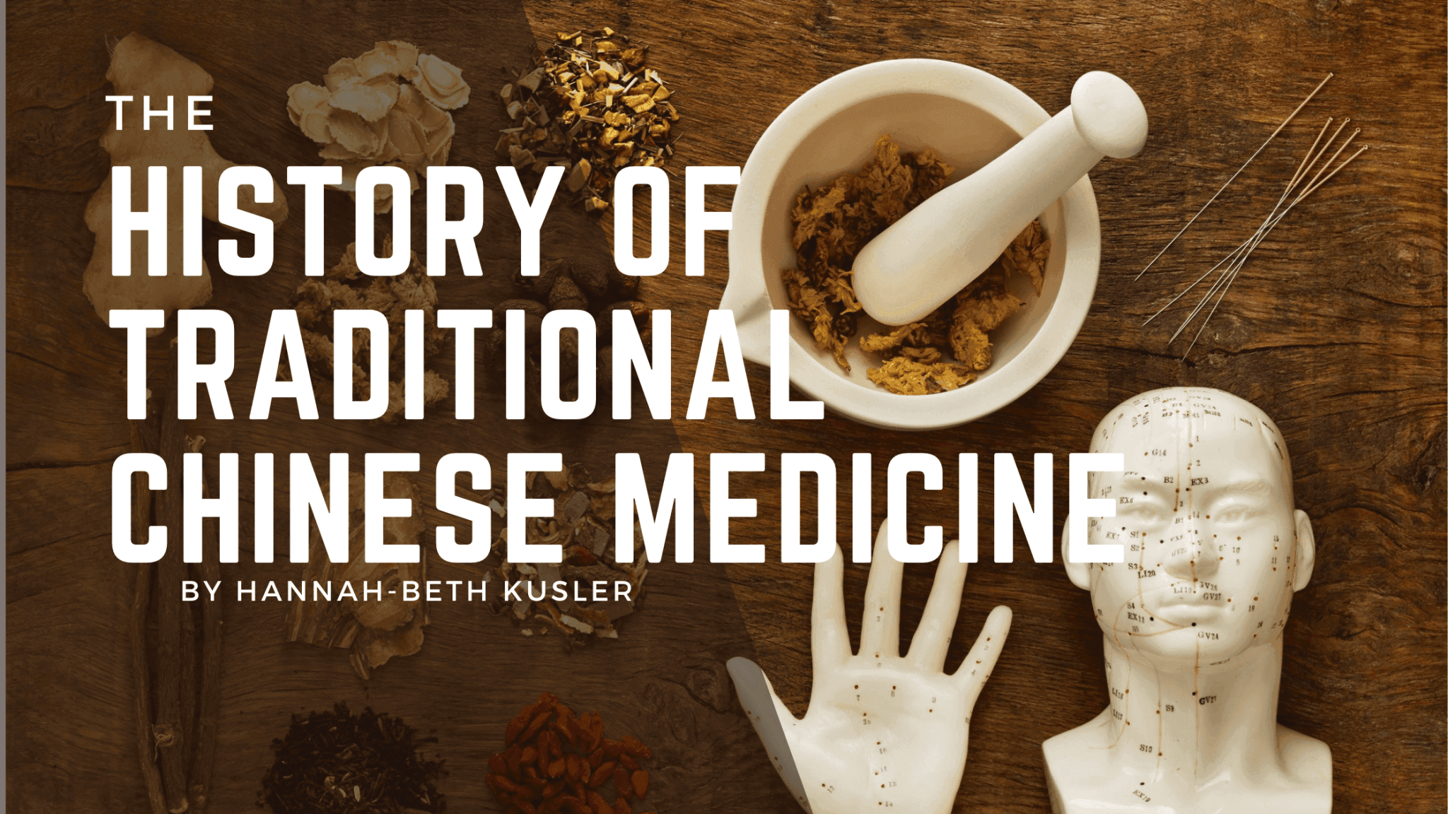 History of Traditional Chinese Medicine Acupuncture Training