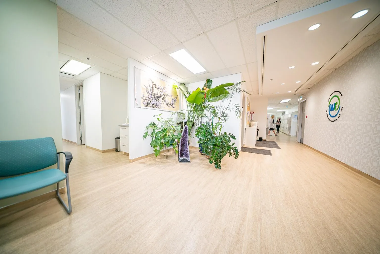 Canadian Institute of Traditional Chinese Medicine - Acupuncture and Massage Therapy Programs