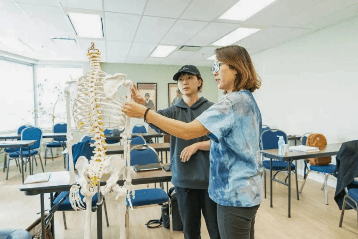 CITCM students examining an anatomical skeleton model in an acupuncture classroom in Calgary, Alberta